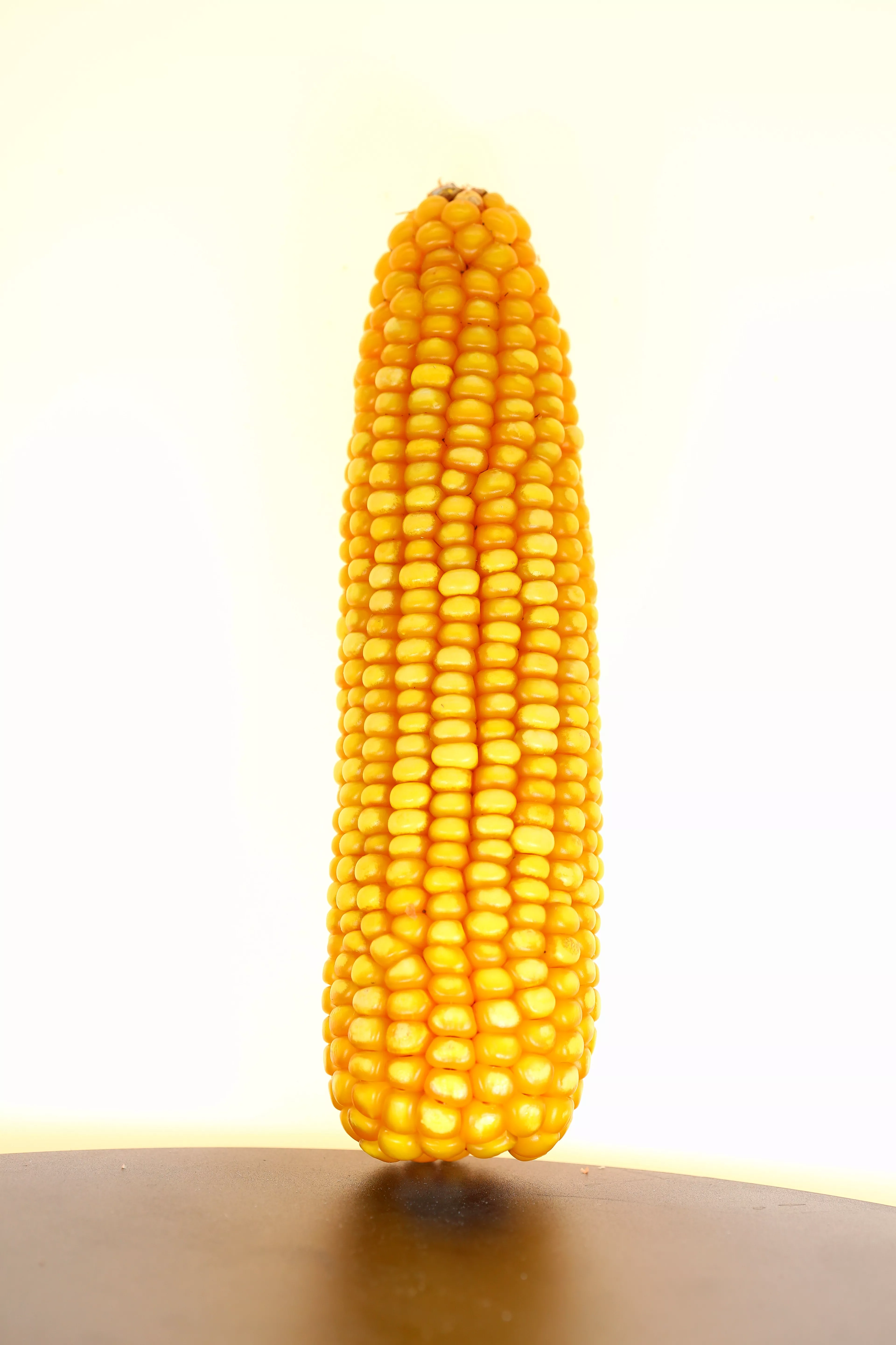 H16
